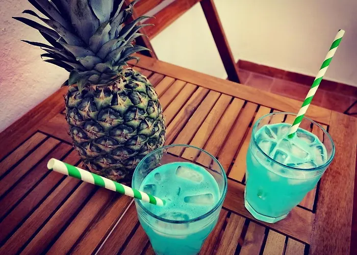 Rustic Istria Lejlighed *